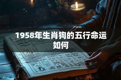 1958年生肖狗的五行命运如何