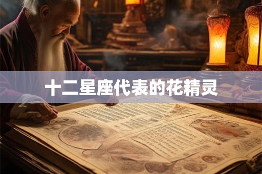 十二星座代表的花精灵