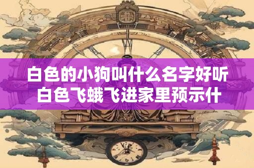 白色的小狗叫什么名字好听 白色飞蛾飞进家里预示什么