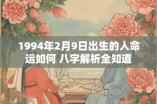1994年2月9日出生的人命运如何 八字解析全知道