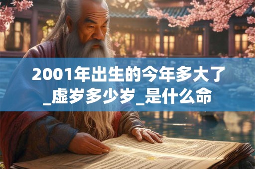 2001年出生的今年多大了_虚岁多少岁_是什么命