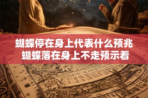 蝴蝶停在身上代表什么预兆 蝴蝶落在身上不走预示着什么