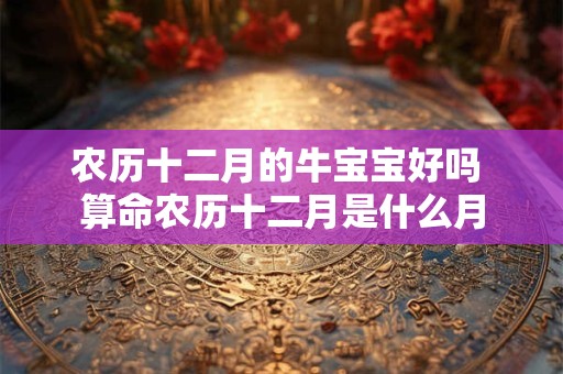 农历十二月的牛宝宝好吗 算命农历十二月是什么月