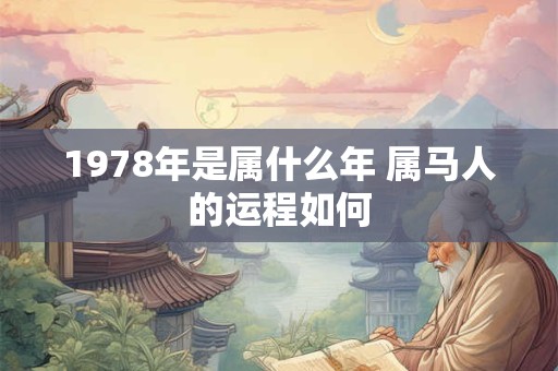 1978年是属什么年 属马人的运程如何