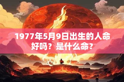 1977年5月9日出生的人命好吗？是什么命？