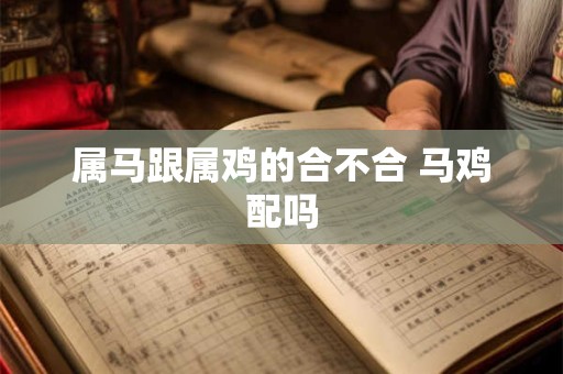属马跟属鸡的合不合 马鸡配吗