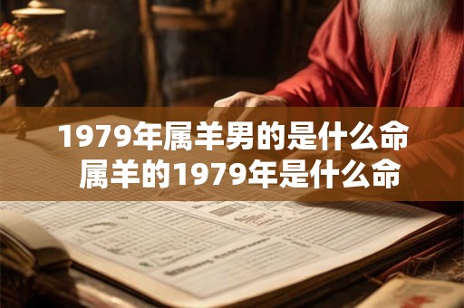 1979年属羊男的是什么命  属羊的1979年是什么命