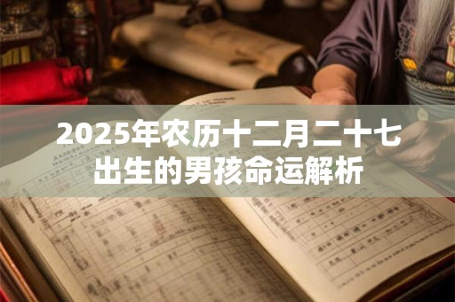 2025年农历十二月二十七出生的男孩命运解析