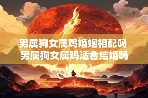 男属狗女属鸡婚姻相配吗 男属狗女属鸡适合结婚吗