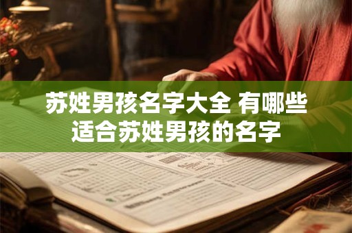 苏姓男孩名字大全 有哪些适合苏姓男孩的名字