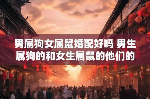 男属狗女属鼠婚配好吗 男生属狗的和女生属鼠的他们的婚姻配对是否合适
