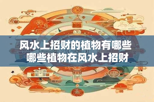 风水上招财的植物有哪些 哪些植物在风水上招财