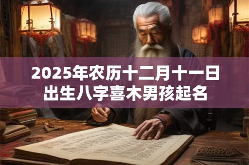 2025年农历十二月十一日出生八字喜木男孩起名
