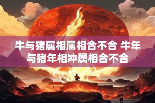 牛与猪属相属相合不合 牛年与猪年相冲属相合不合