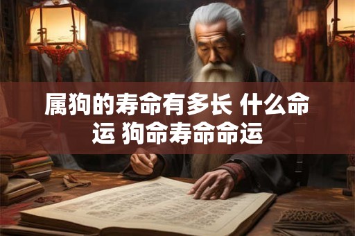 属狗的寿命有多长 什么命运 狗命寿命命运
