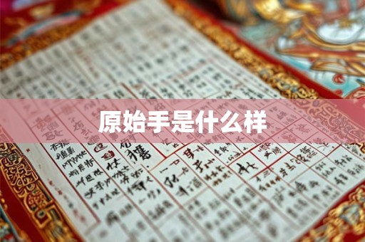 原始手是什么样