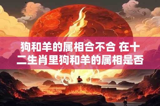 狗和羊的属相合不合 在十二生肖里狗和羊的属相是否相克 狗和羊的属相合不合 在十二生肖里狗和羊的属相是否相克