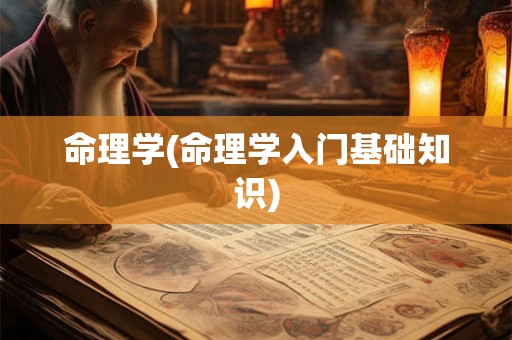 命理学(命理学入门基础知识)
