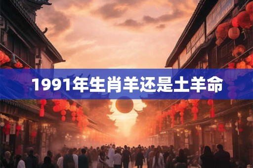 1991年生肖羊还是土羊命
