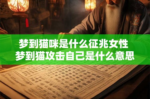 梦到猫咪是什么征兆女性 梦到猫攻击自己是什么意思
