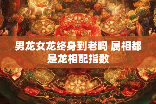 男龙女龙终身到老吗 属相都是龙相配指数