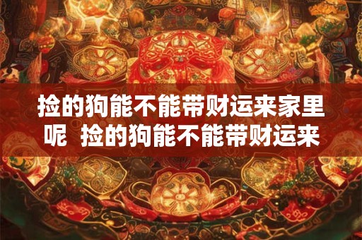 捡的狗能不能带财运来家里呢  捡的狗能不能带财运来家里呢