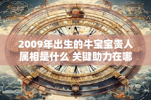 2009年出生的牛宝宝贵人属相是什么 关键助力在哪