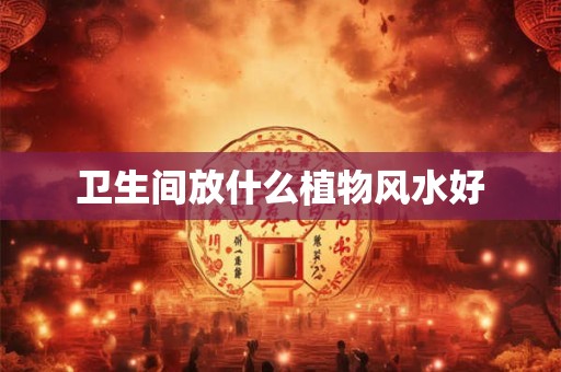 卫生间放什么植物风水好