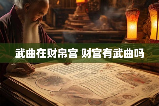 武曲在财帛宫 财宫有武曲吗