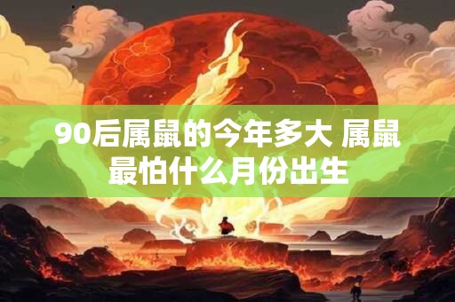90后属鼠的今年多大 属鼠最怕什么月份出生