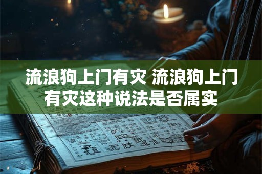 流浪狗上门有灾 流浪狗上门有灾这种说法是否属实