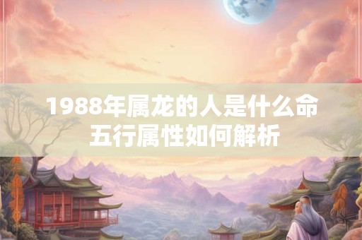 1988年属龙的人是什么命 五行属性如何解析