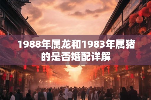 1988年属龙和1983年属猪的是否婚配详解