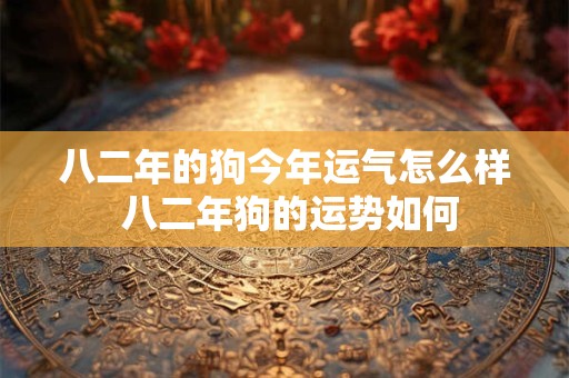 八二年的狗今年运气怎么样 八二年狗的运势如何