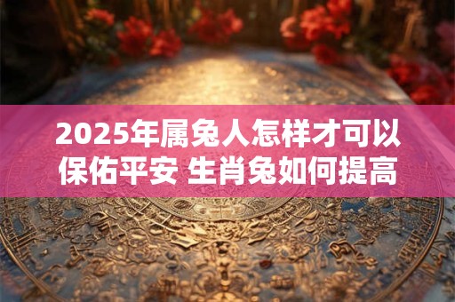 2025年属兔人怎样才可以保佑平安 生肖兔如何提高健康运势