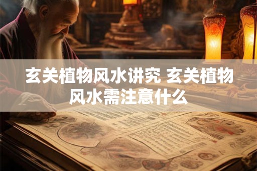 玄关植物风水讲究 玄关植物风水需注意什么