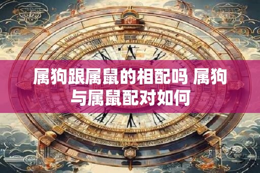 属狗跟属鼠的相配吗 属狗与属鼠配对如何