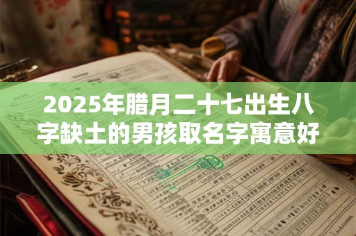 2025年腊月二十七出生八字缺土的男孩取名字寓意好