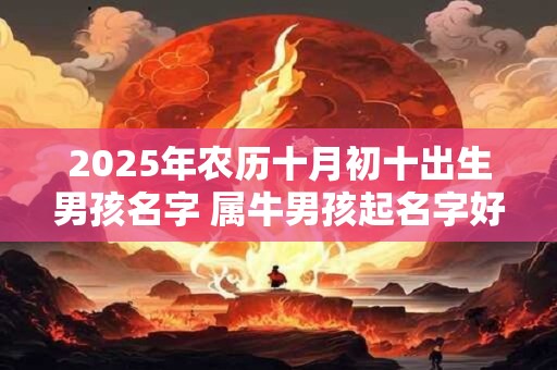 2025年农历十月初十出生男孩名字 属牛男孩起名字好寓意的字