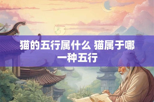 猫的五行属什么 猫属于哪一种五行