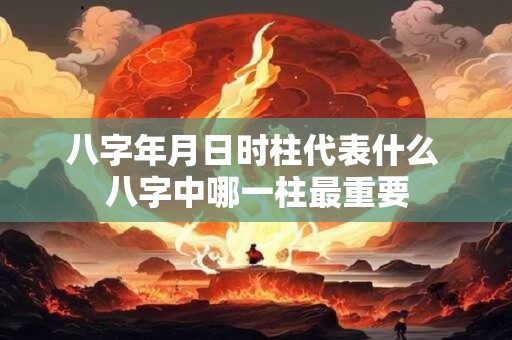 八字年月日时柱代表什么 八字中哪一柱最重要 八字年月日时柱代表什么 八字中哪一柱最重要