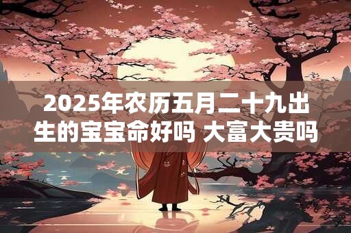 2025年农历五月二十九出生的宝宝命好吗 大富大贵吗