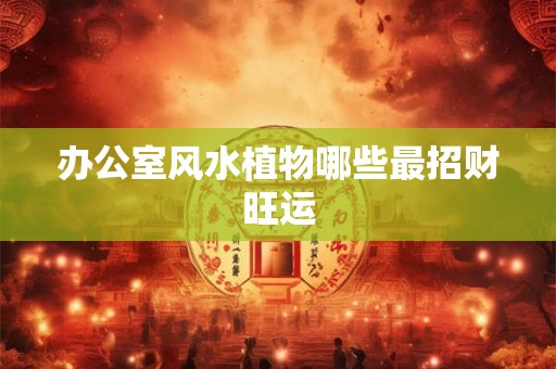办公室风水植物哪些最招财旺运