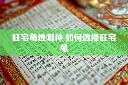 旺宅龟选哪种 如何选择旺宅龟