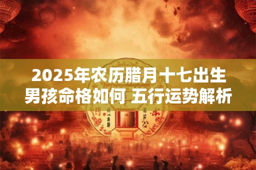 2025年农历腊月十七出生男孩命格如何 五行运势解析