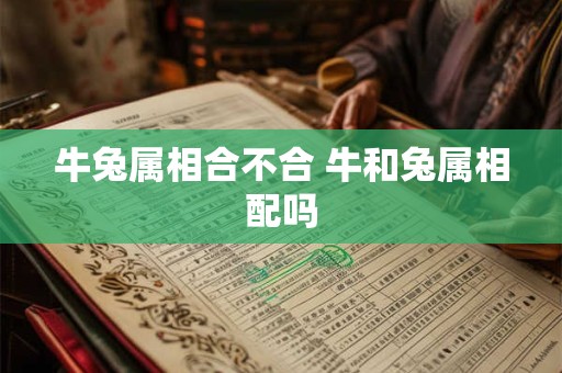 牛兔属相合不合 牛和兔属相配吗