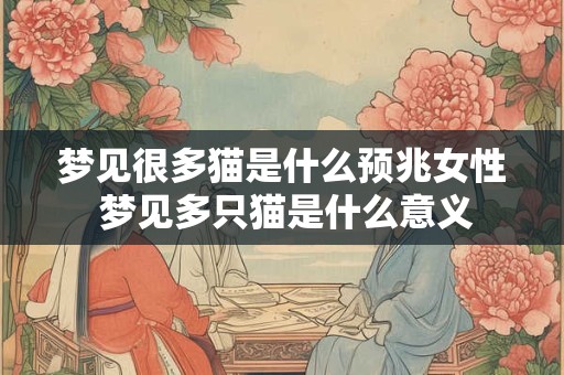 梦见很多猫是什么预兆女性 梦见多只猫是什么意义