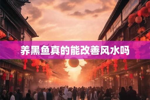 养黑鱼真的能改善风水吗