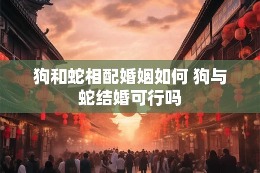 狗和蛇相配婚姻如何 狗与蛇结婚可行吗