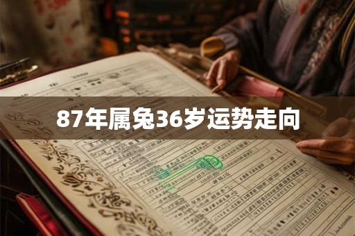 87年属兔36岁运势走向